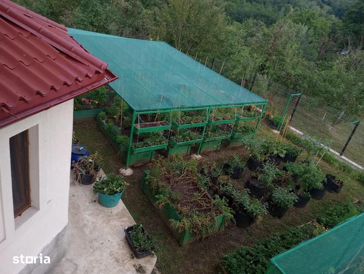 Casă cu 5 camere cu Teren 1500 Mp în Drajna
