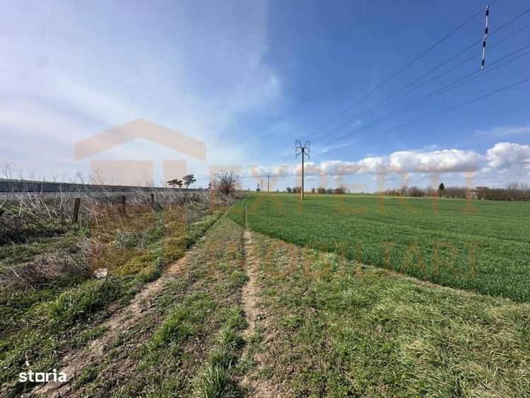 Teren de vanzare 18.000 mp | Deschidere la DN | Ideal investitie - 14