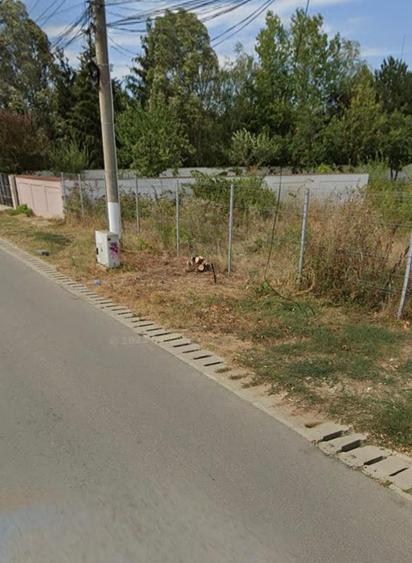 Teren Construcții intravilan de 2484 mp, în Corbeanca