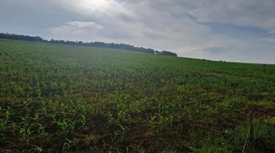 Teren de 31400 mp, în Răzoare