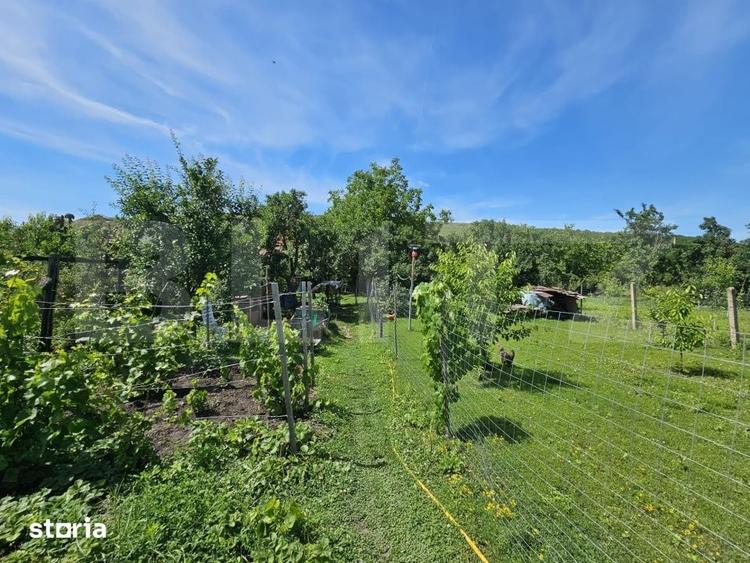 Casa renovata, 4.237mp teren intravilan, Dublu front stradal, Razboien - 14
