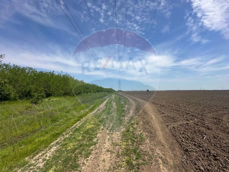 Teren Construcții intravilan de 138104 mp, în Dragomirești-Vale