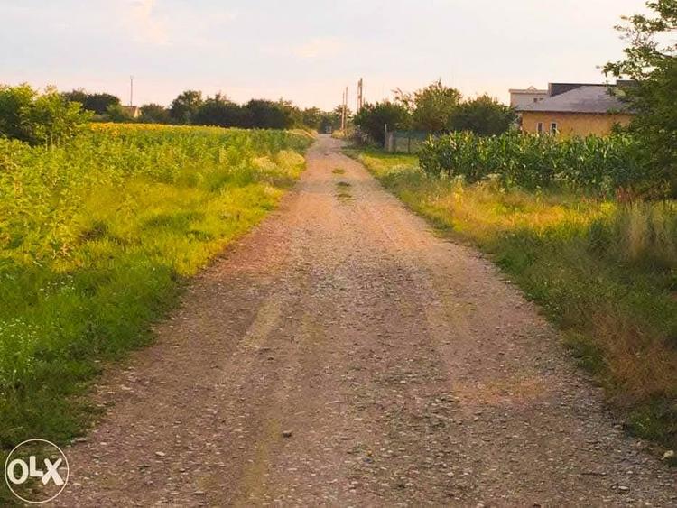 Teren Construcții intravilan de 3277 mp, în Ciofliceni