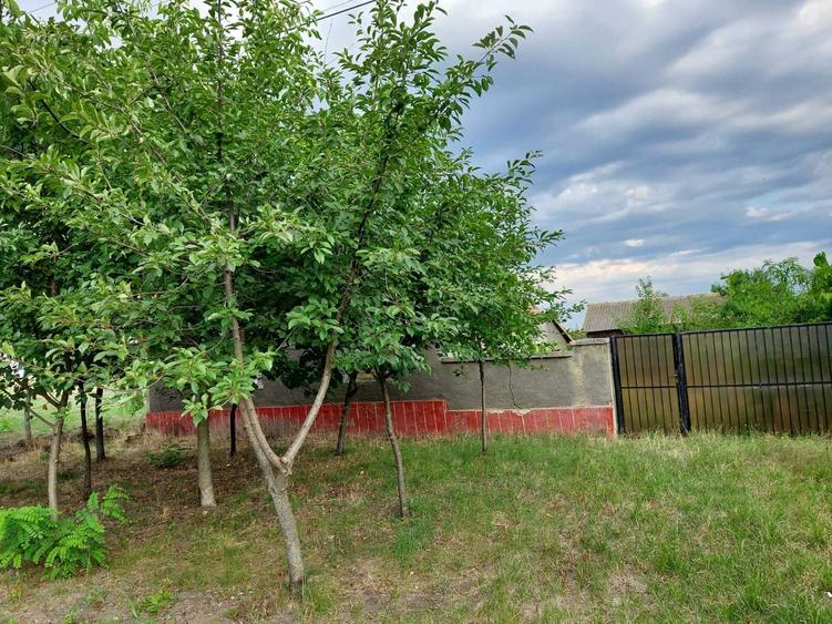Casă cu 2 camere cu Teren 1400 Mp în Secusigiu