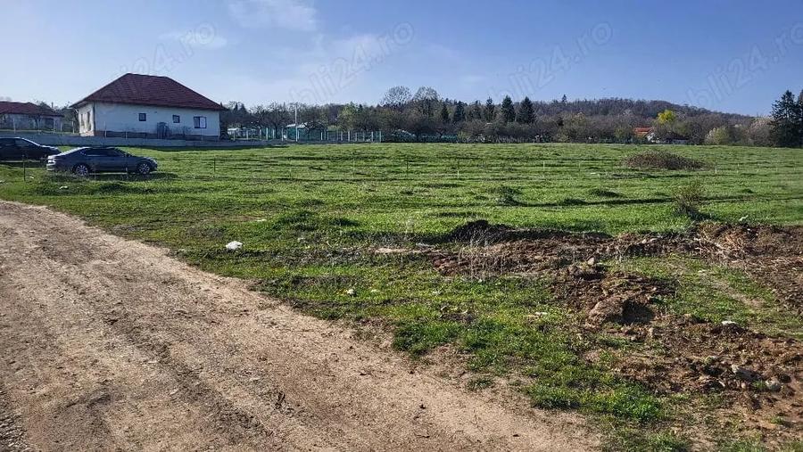 Teren de 7500 mp, în Voila