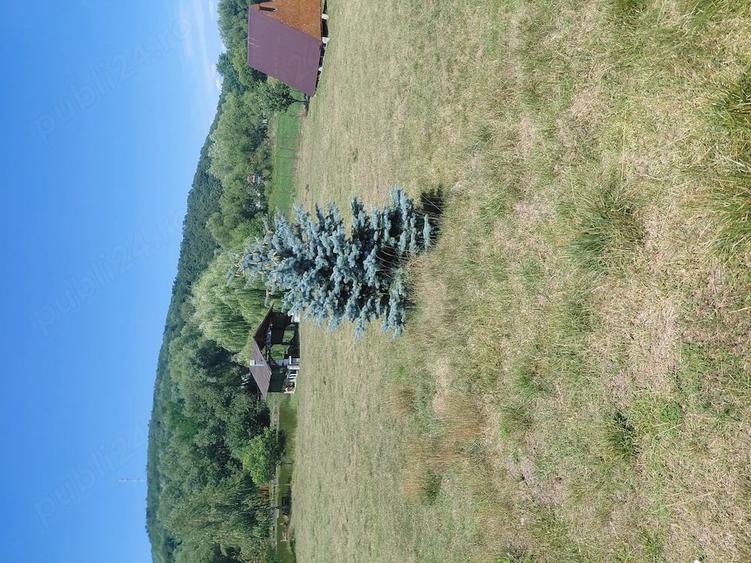 Teren de 3600 mp, în Vultureni