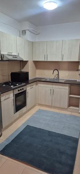 Apartament 2 camere, cu gradina, zona Tatarasi - 5