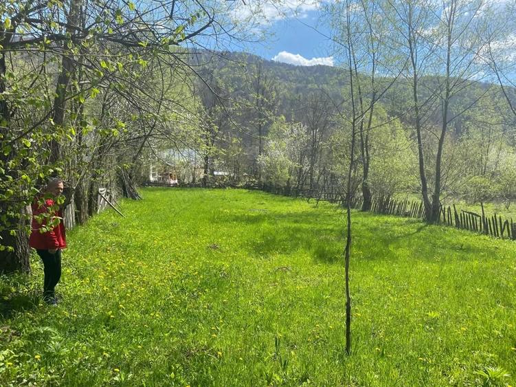 Teren de 1220 mp, în Teșila