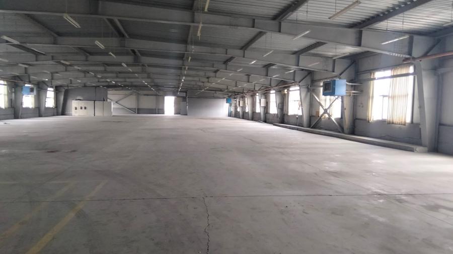 Spațiu industrial, de 2,231 mp, în Timișoara