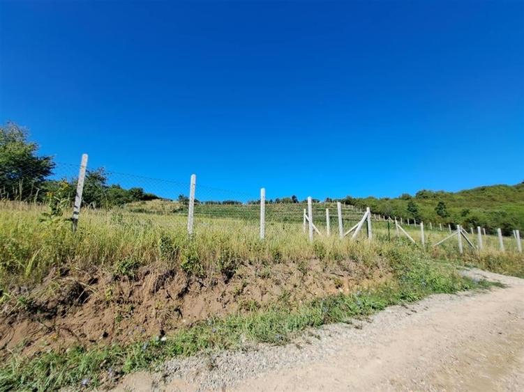 Teren Construcții intravilan de 9461 mp, în Podgoria