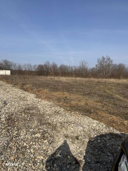 Teren de 5000 mp, în Moșoaia
