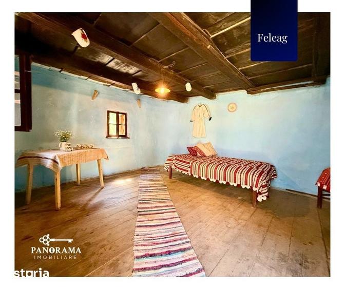 Casă cu 3 camere cu Teren 1590 Mp în Vânători