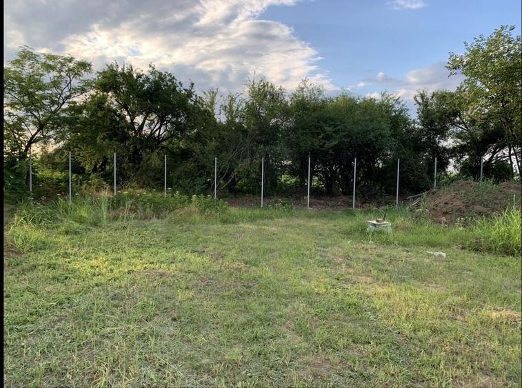 Teren de 1560 mp, în Lipia