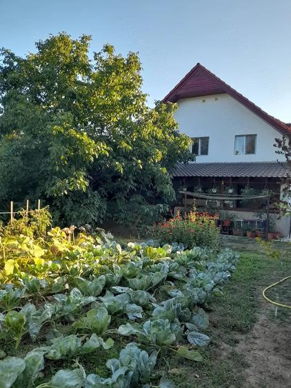 Apartament cu 3 camere decomandat în Ciarda Roșie