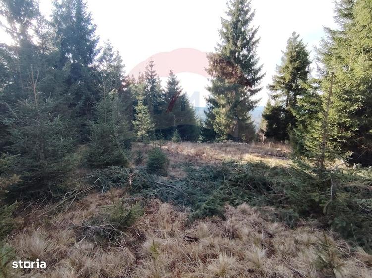 Spațiu comercial, în Dorna-Arini