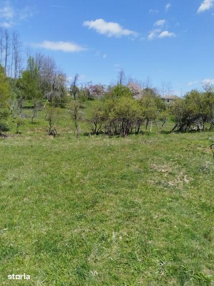 Teren de 7795 mp, în Golești