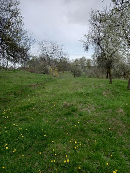Teren de 3000 mp, în Căpățânenii Pământeni