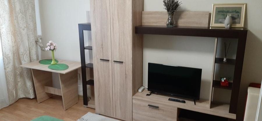 Garsonieră în Țiglina 1