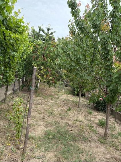 Casă cu 5 camere cu Teren 600 Mp în Podgoria