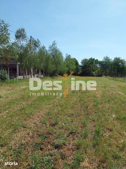 Teren de 12500 mp, în Drajna