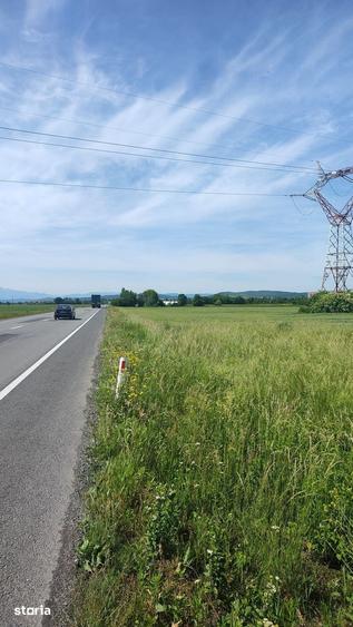 Teren de 10889 mp, în Băcia
