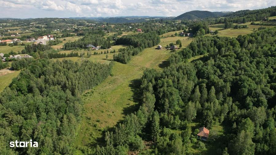 Teren de 38781 mp, în Râșca