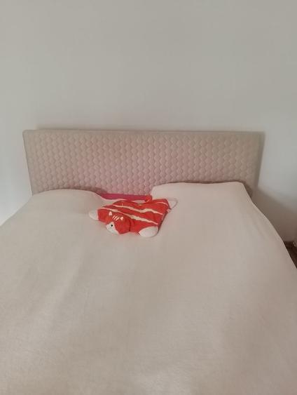 Casă cu 3 camere în Macea