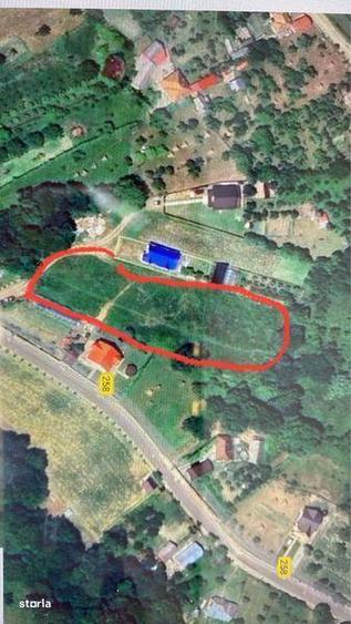 Teren ideal pentru investitie, in apropiere de Lacul Vidraru - 2