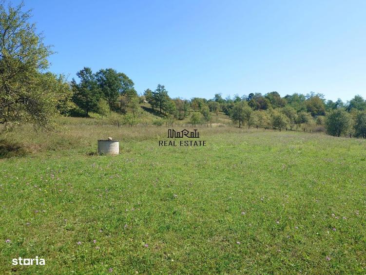 Teren de 8757 mp, în Luncoiu de Jos