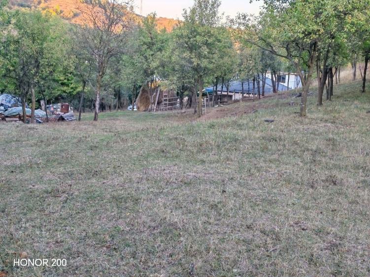 Teren intravilan de 7635 mp, în Baciu