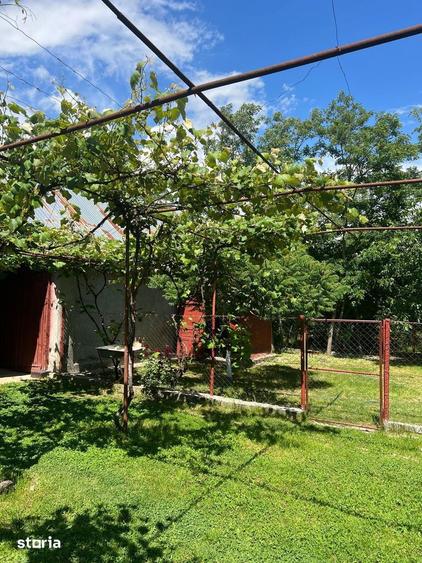 Casă cu 3 camere cu Teren 1000 Mp în Corbii Mari