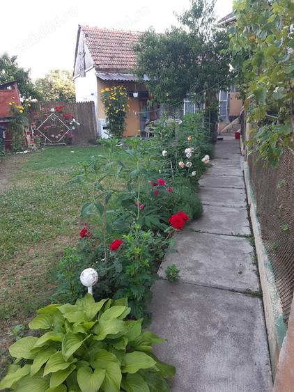Casa de vanzare - 8