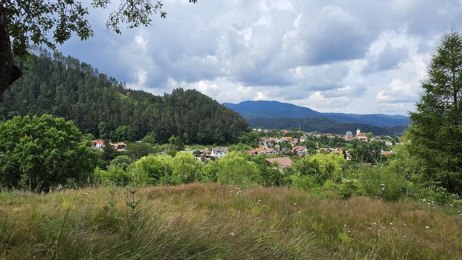 Teren Construcții intravilan de 850 mp, în Turcheș