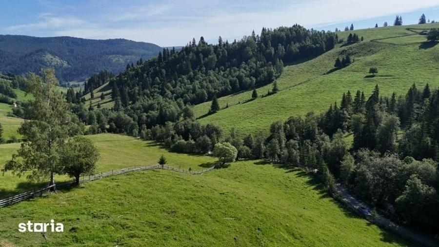 Teren intravilan de vanzare in Bucovina zona Breaza - 5