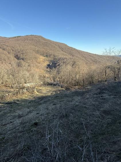 Teren de 1780 mp, în Valea Doftanei
