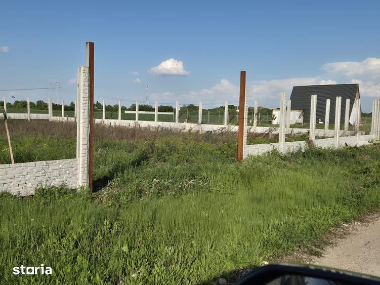 Teren Intravilan 497mp de Vanzare Padurisu *Calarasi* - 7
