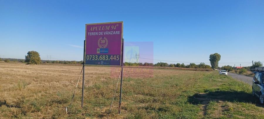 Teren Construcții intravilan de 4500 mp, în Săbăreni