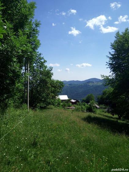 Teren de 5619 mp, în Măguri