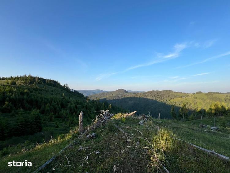 Teren de 500000 mp, în Ciocănești