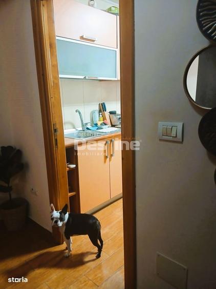 Apartament cu 3 camere, mobilat în Ultracentral