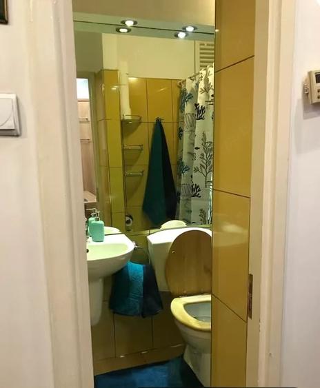 Apartament deosebit de inchiriat in vila P+2, cu gradina comuna Banu Manta - 8