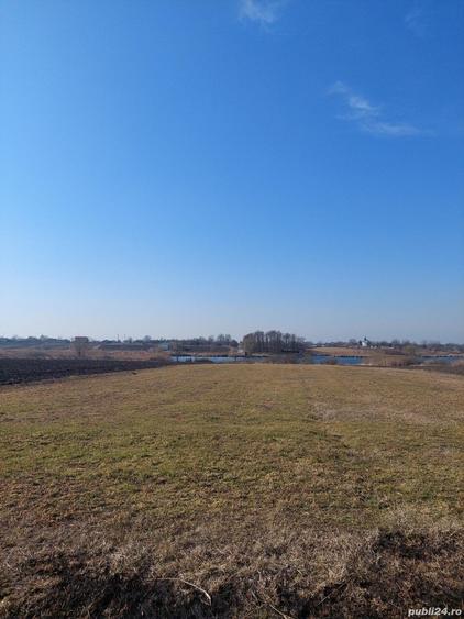 Teren de 2500 mp, în Vânători
