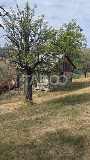Teren Construcții intravilan de 8300 mp, în Pleși