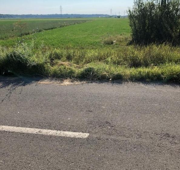 Teren agricol intravilan de 2475 mp, în Periș