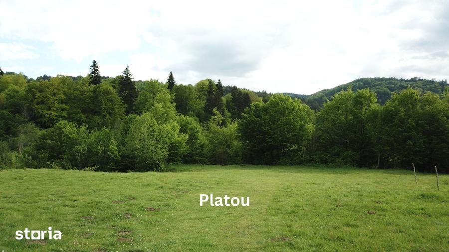 Teren de 4000 mp, în Babarunca