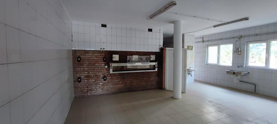 Spațiu comercial, de 105 mp, în Mirceștii Noi