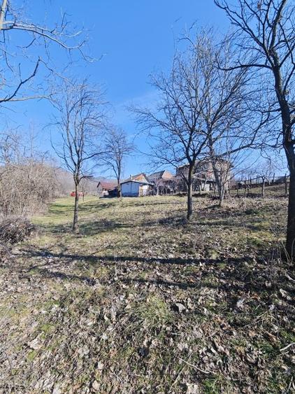 Teren de 2300 mp, în Bărbătești