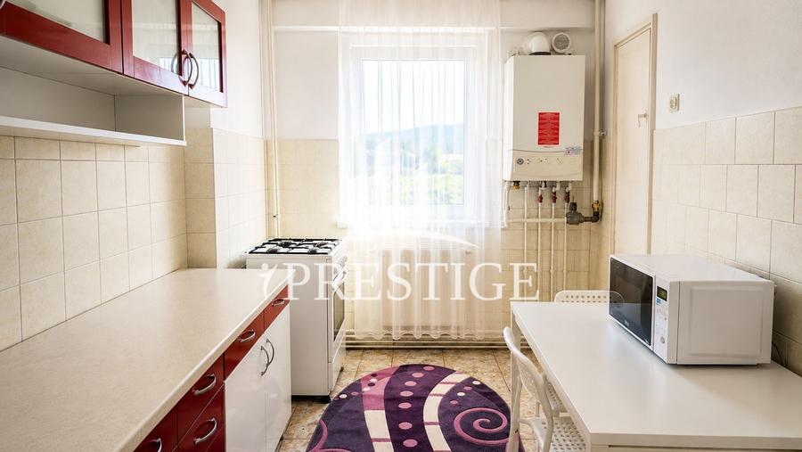 APARTAMENT 2 CAMERE DECOMANDATE ÎN TEREZIAN, ETAJ 3, BALCON - 4