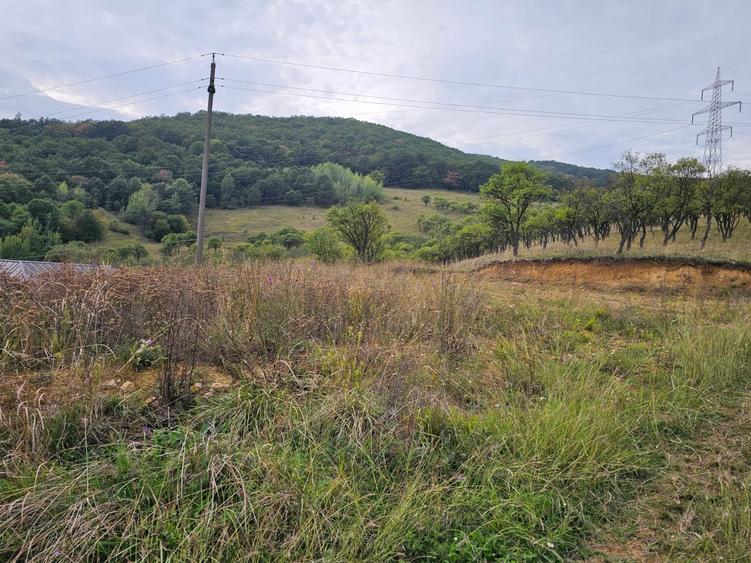 Teren Construcții intravilan de 400 mp, în Călugareni