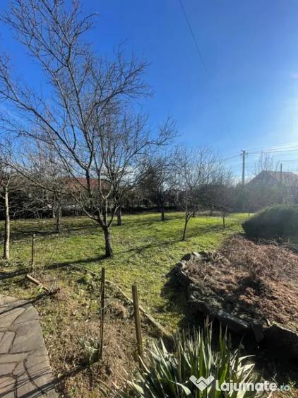 Casă cu 7 camere cu Teren 2544 Mp în Cicârlău